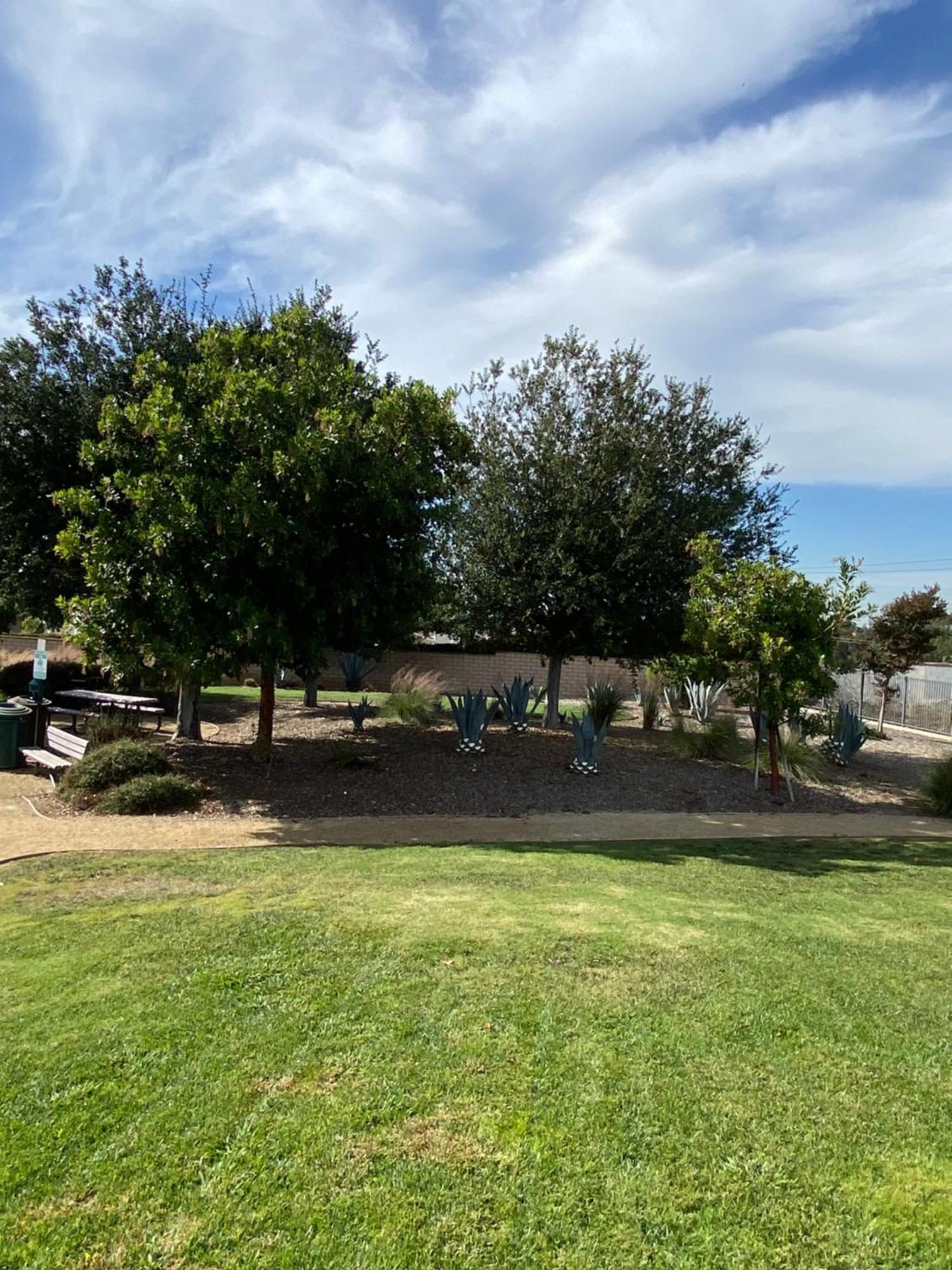 Olive Glen Otel Los Angeles Dış mekan fotoğraf